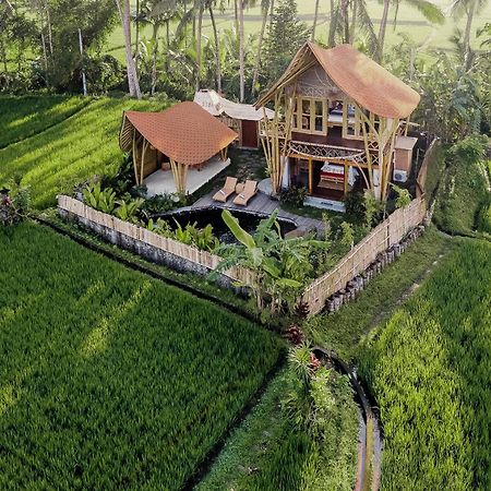 Arapan Ubud Eco Villa エクステリア 写真