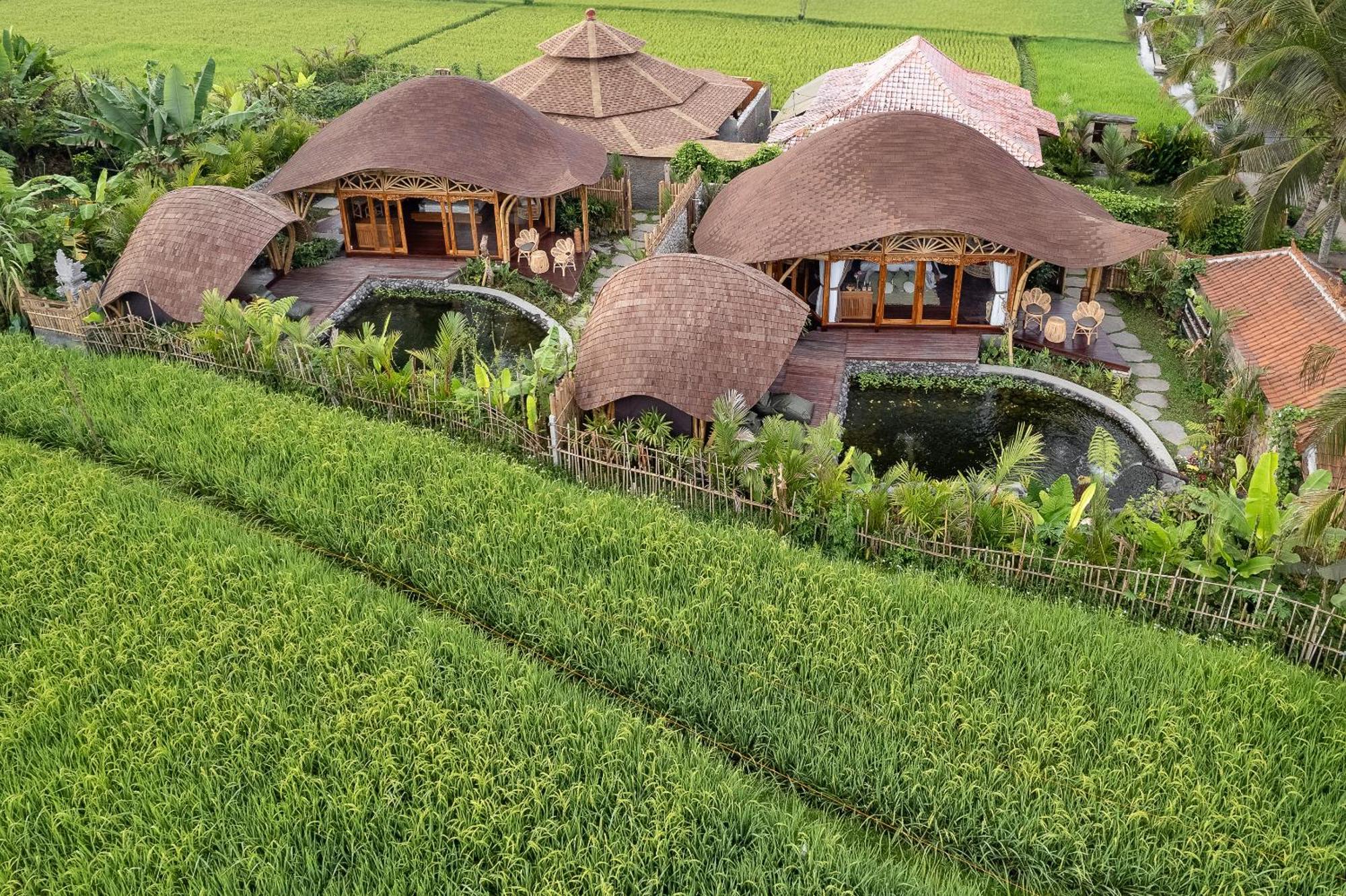 Arapan Ubud Eco Villa エクステリア 写真