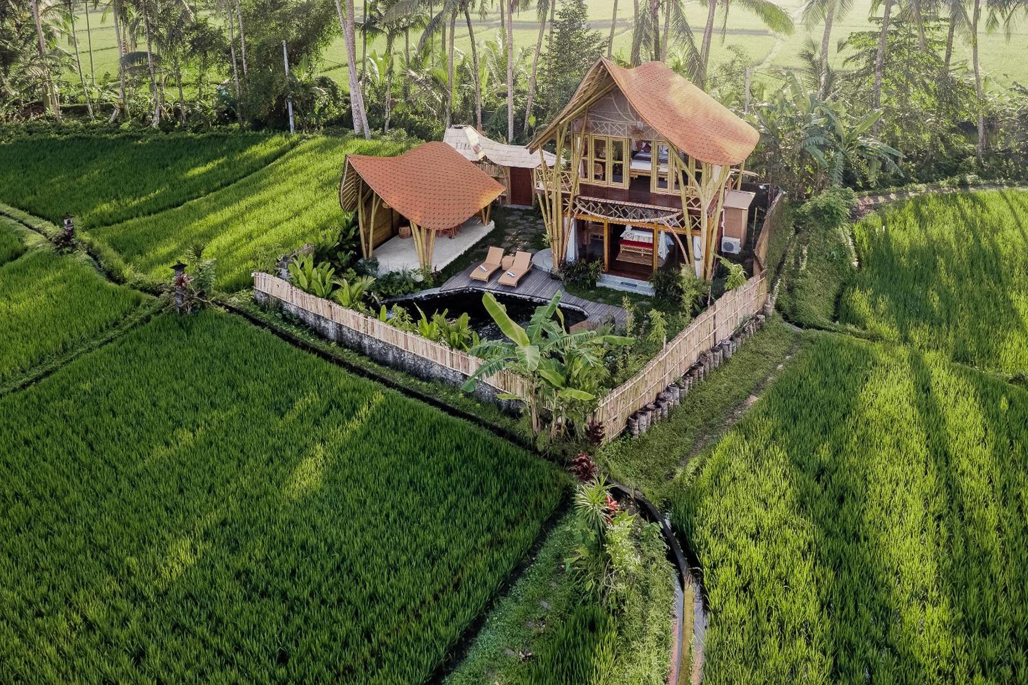 Arapan Ubud Eco Villa エクステリア 写真