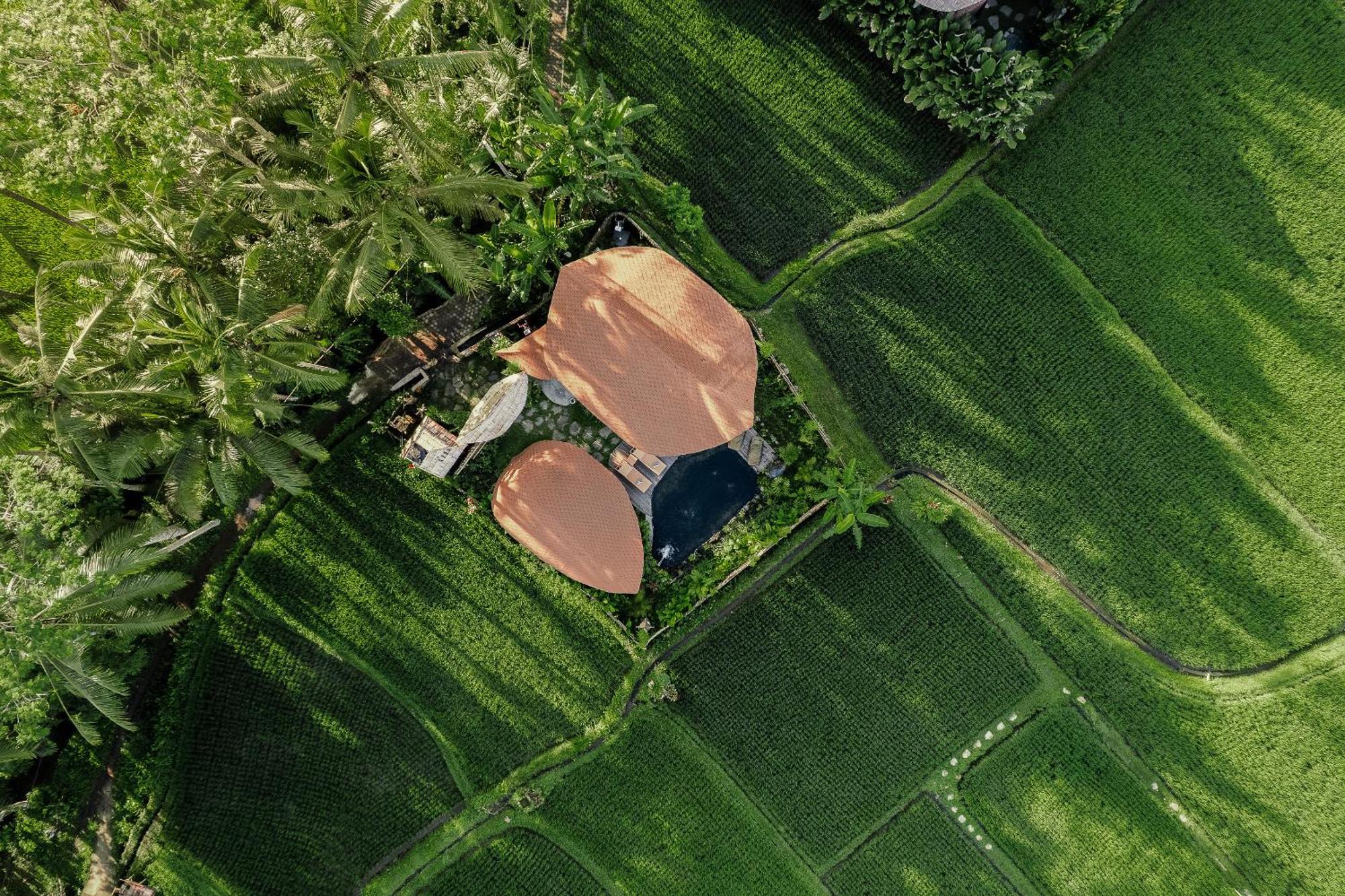 Arapan Ubud Eco Villa エクステリア 写真